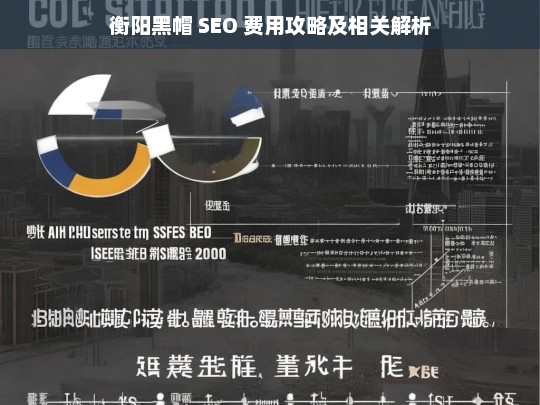 衡阳黑帽 SEO 费用与解析攻略-第1张图片-威辛SEO网