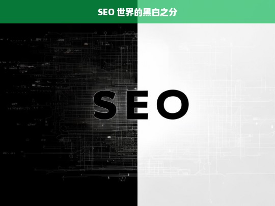 SEO 世界的黑白两面-第1张图片-威辛SEO网