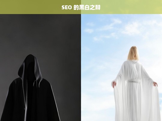 SEO 的黑白两面辨析-第1张图片-威辛SEO网