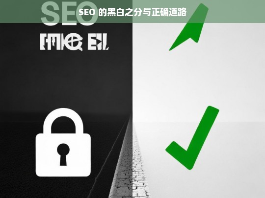 SEO 的黑白之辨与正道探索-第1张图片-威辛SEO网