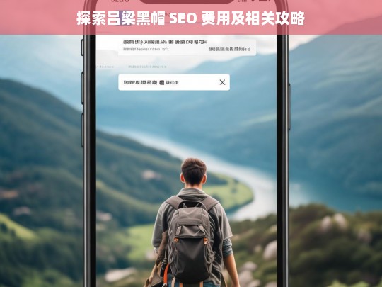 吕梁黑帽 SEO 费用与攻略探索-第1张图片-威辛SEO网