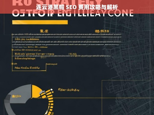 连云港黑帽 SEO 费用相关攻略与解析-第1张图片-威辛SEO网