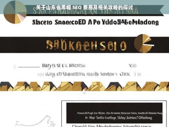 山东省黑帽 SEO 费用与攻略探讨-第1张图片-威辛SEO网