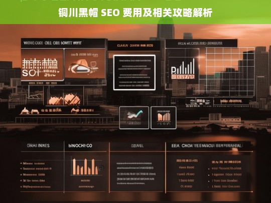 铜川黑帽 SEO 费用与攻略解读-第1张图片-威辛SEO网