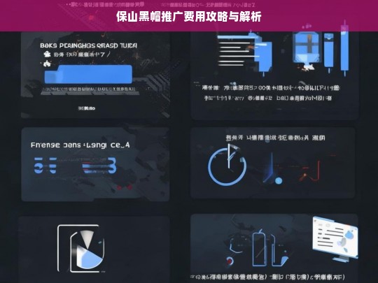 保山黑帽推广费用攻略解析-第1张图片-威辛SEO网