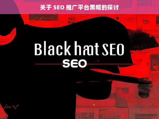 SEO 推广平台黑帽现象探讨-第1张图片-威辛SEO网