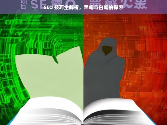 SEO 技巧解析，黑帽与白帽探索-第1张图片-威辛SEO网