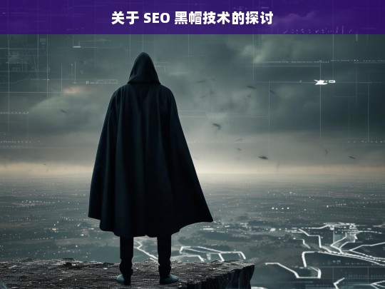 SEO 黑帽技术之探讨-第1张图片-威辛SEO网