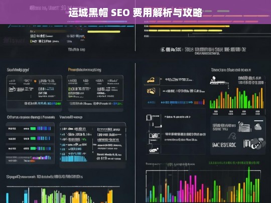 运城黑帽 SEO 费用解析与攻略-第1张图片-威辛SEO网