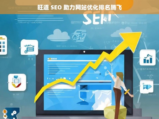 旺道 SEO 推动网站优化排名上升-第1张图片-威辛SEO网